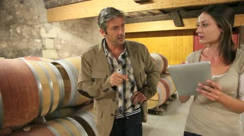 Winemaker talking to client in winery Stock-Footage 14834316