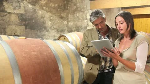 Winemaker talking to client in winery Stock Footage 14834319