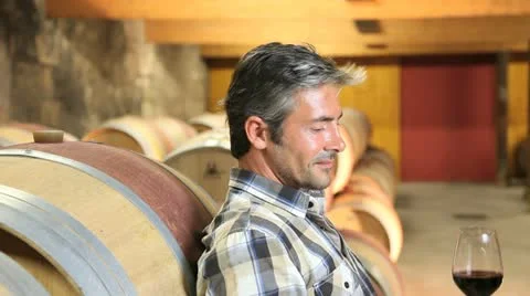 Winemaker tasting red wine in cellar Stock Footage 14834275