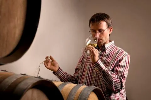 Winemaker tasting wine in cellar. Stock Photos