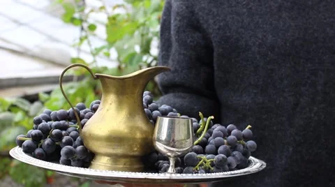 Winemaker with a tray Vídeo Stock 55826665