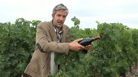 Winemaker in vineyard talking to camera with bottle in hand Video stock 14834082