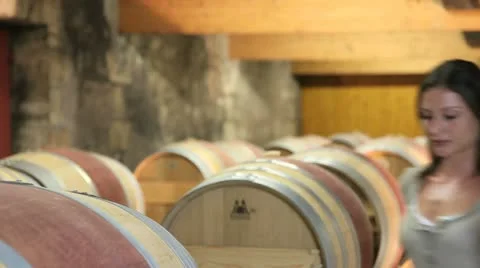 Winemaker in winery tasting red wine Stock Footage 14834125