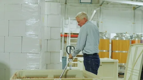 Winemaker working in the winery. Stirred raw materials for wine. Punch down the Stock Footage 69795671