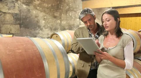 Winemakers in cellar using electronic tablet Video stock 14834021