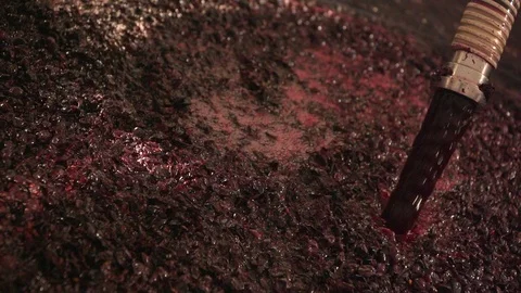 Winemaking. Stock Footage 114971695