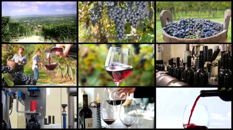 Winemaking montage Stock Footage 45162740