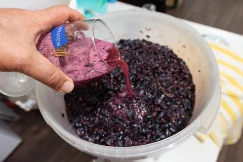 Winemaking Stock Photos