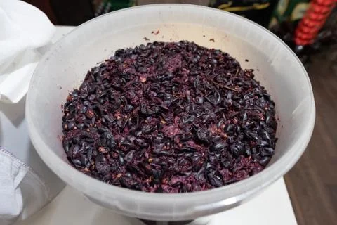 Winemaking Stock Photos