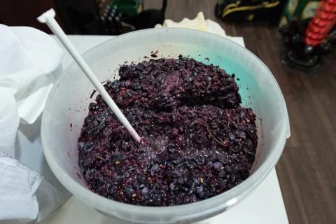 Winemaking Stock Photos