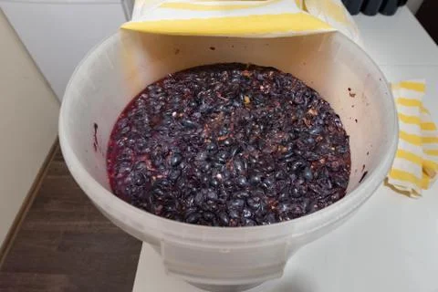 Winemaking Stock Photos