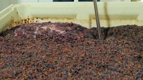 Winemaking process crushing grapes and mixing must during fermentation in l.. 스톡 동영상 334981423