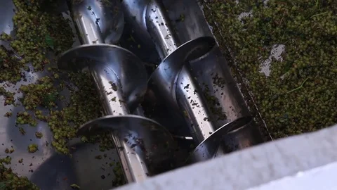 Winemaking process Stock Footage 74105006
