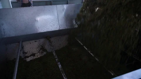 Winemaking process Stock Footage 74105040