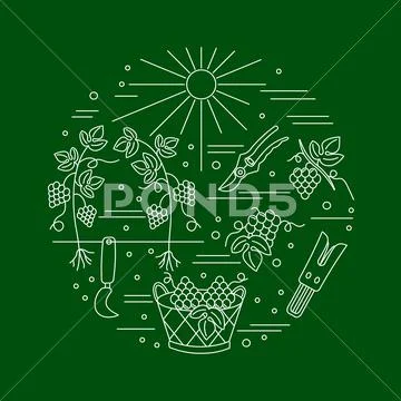 Winemaking, wine tasting graphic design concept Stock Illustration