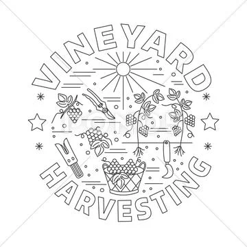 Winemaking, wine tasting graphic design concept Stock Illustration