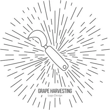 Winemaking, wine tasting logotype design concept Stock Illustration
