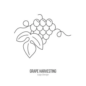Winemaking, wine tasting logotype design concept Stock Illustration