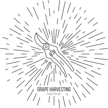 Winemaking, wine tasting logotype design concept Stock Illustration