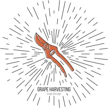 Winemaking, wine tasting logotype design concept Stock Illustration