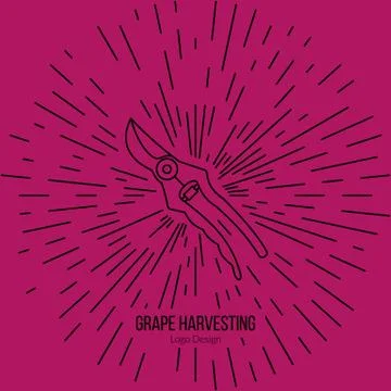 Winemaking, wine tasting logotype design concept Stock Illustration