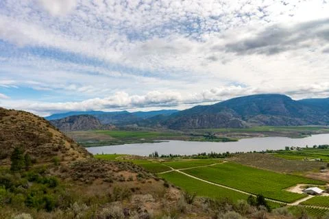 Wineries on BC Stock Photos