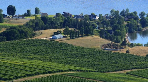 Wineries Okanagan Valley MS CC V003 스톡 동영상 33473061