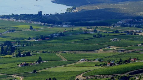 Wineries Okanagan Valley WS CC V002 Stock Footage 33473258