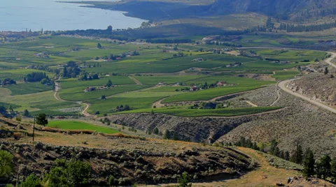 Wineries Okanagan Valley WS CC V003 스톡 동영상 33474372