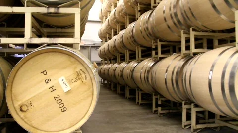 Winery Barrels Stock Footage 848252