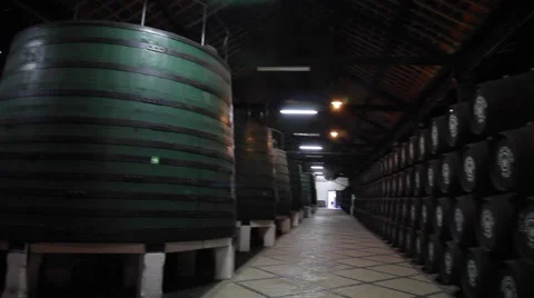 Winery Barrels Stock Footage 67998635