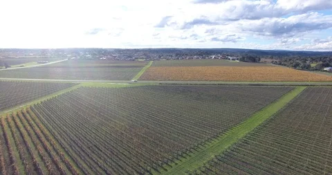 Winery Drone Stock Footage 92121179