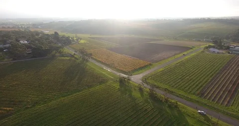 Winery Drone Stock Footage 92121389