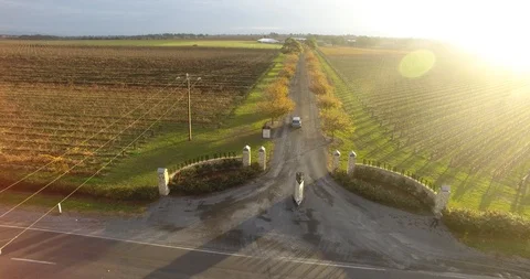 Winery Drone Stock Footage 92122751
