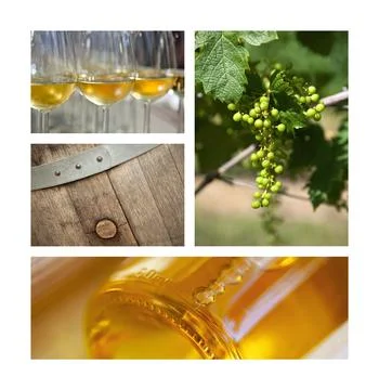 Winery elements on a collage Stock Photos