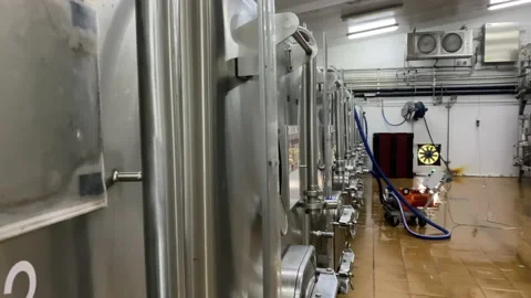 Winery equipped with fermentation vats Stock Footage 157502937