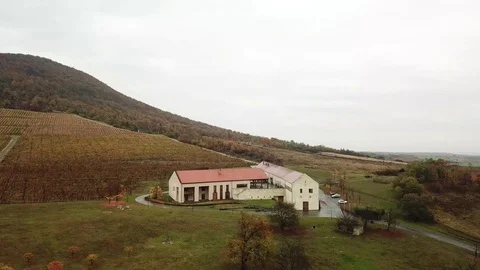 A winery Stock Footage 120418461