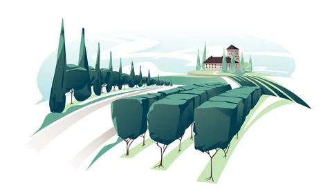 Winery Stock Illustration