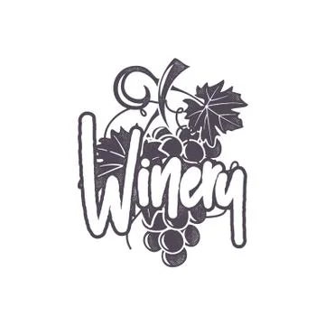 Winery logo template. Wine grape with calligraphic sign in retro monochrome Stock Illustration