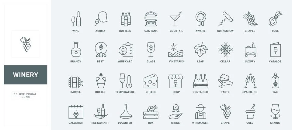 Winery, making and testing grape wine, storage in box and barrel in cellar line 스톡 일러스트