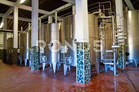 Winery Stock Photos
