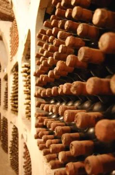 Winery Stock Photos