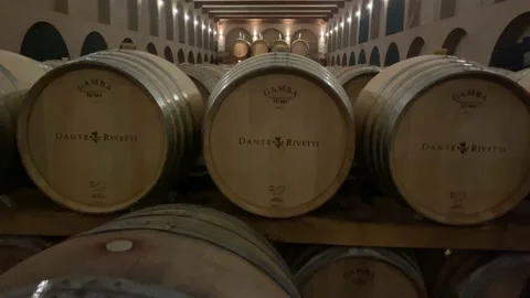 Winery in Piedmont 2 Stock Footage 204842578
