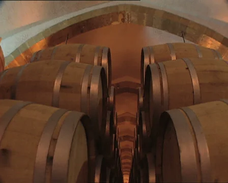 WINERY rows of barrels tilt Video stock 24753897