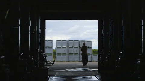 Winery: Silhouette of a worker entering fermentation tank warehouse. Video stock 128134992