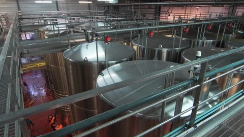 Winery  Storage aging Stock Footage 86296811