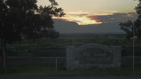 Winery sunrise Stockbeeldmateriaal 142047075
