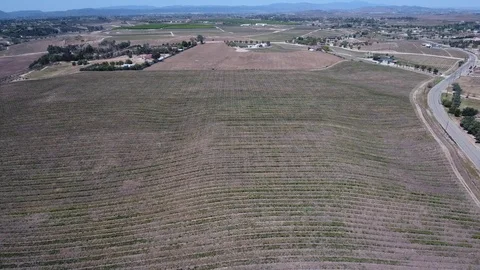 Winery in Temecula Stock Footage