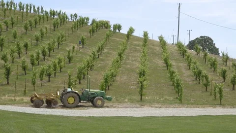 Winery Tractor Stock Footage 78380795