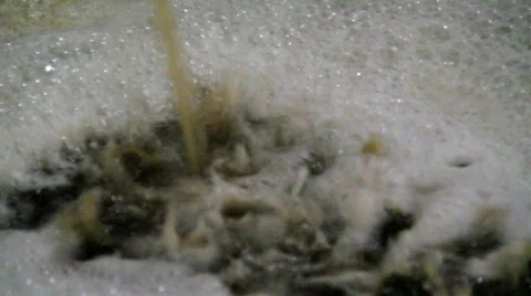 Winery Wine Making Process Stock Footage 848213